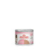 Royal Canin Wet Cat Food Mother & Babycat