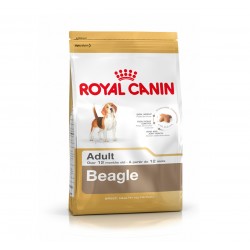 ROYAL CANIN DOG BEAGLE ADULT 