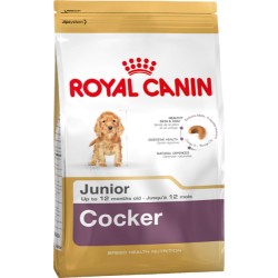 ROYAL CANIN DOG COCKER JUNIOR 
