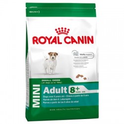 ROYAL CANIN DOG MINI ADULT 8+ 