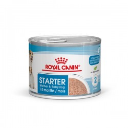 ROYAL CANIN DOG STARTER MOUSSE CAN 