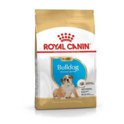 Ξηρή Τροφή για Κουτάβια Royal Canin Bulldog Puppy