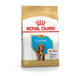 Ξηρή Τροφή για Κουτάβια Royal Canin Cocker Puppy