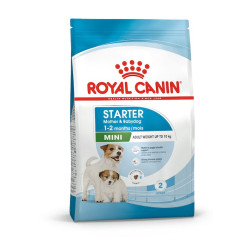Royal Canin Dry Dog Food  Starter Mother & Babydog