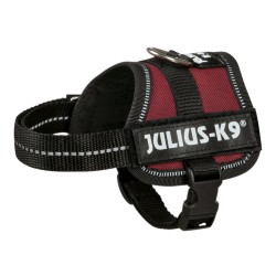 Julius-K9  Powerharness