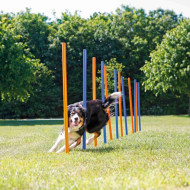 Agility Dog Slalom Trixie