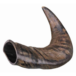 Buffalo Chewing Horn for Dogs Trixie