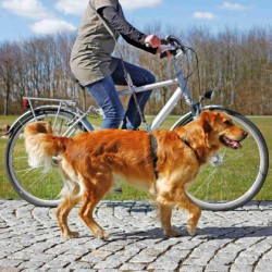 Οδηγός Σκύλου Trixie για Ποδήλατο & Jogging, Μαύρος  1.00-2.00m / 25mm
