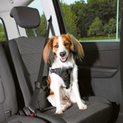 Dog comfort car harness, black