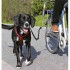 Βάση & Οδηγός Σκύλου για Ποδήλατο Trixie για Μεγάλα Σκυλιά