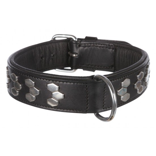 Active Collar With Studs, Black For Dogs By Trixie