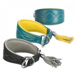 Active Comfort collar for greyhounds