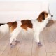 Κάλτσες Σκύλου Trixie Αντιολισθητικές  Βαμβακερές  Γκρι (2τμχ)