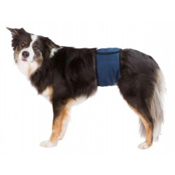 Belly band for male dogs