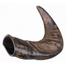 Natural buffalo chewing horn, large