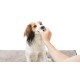 Υγρομάντηλα Καθαρισμού Δοντιών Σκύλου Γάτας, Trixie (50τμχ)