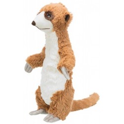 Meerkat, plush, 40 cm