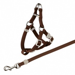 Cat harness with leash, nylon, 26-37 cm/10 mm, 1.20 m