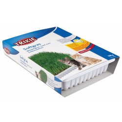 Soft grass tray, 100 g
